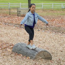 4 foot HALF LOG BALANCE BEAM