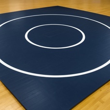 Wrestling Equipment and Mats