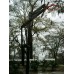 Slam III Adjustable Basketball System Inground